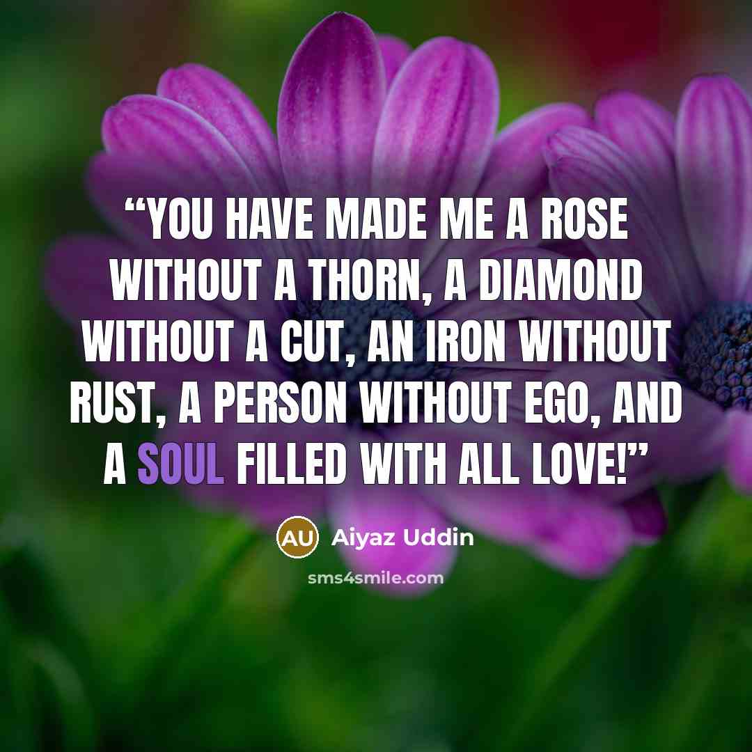 “You have made me a rose without a thorn, A diamond without a cut, An iron without rust, A person without ego, and a soul filled with all love!” quote by Aiyaz Uddin