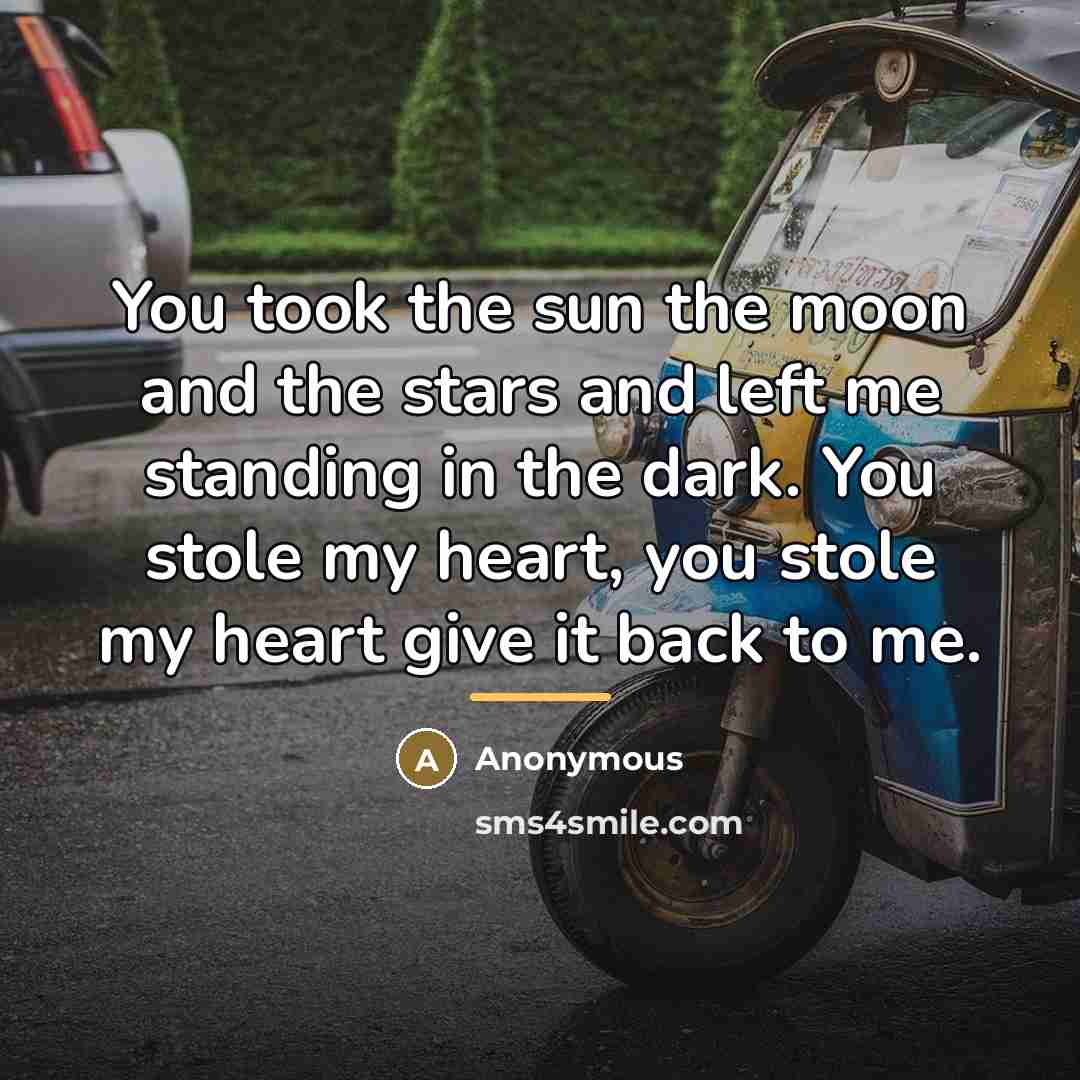 “You took the sun the moon and the stars and…” quote by Anonymous