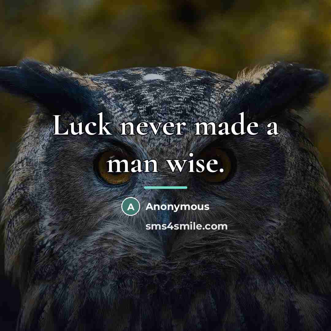“Luck never made a man wise.…” quote by Anonymous