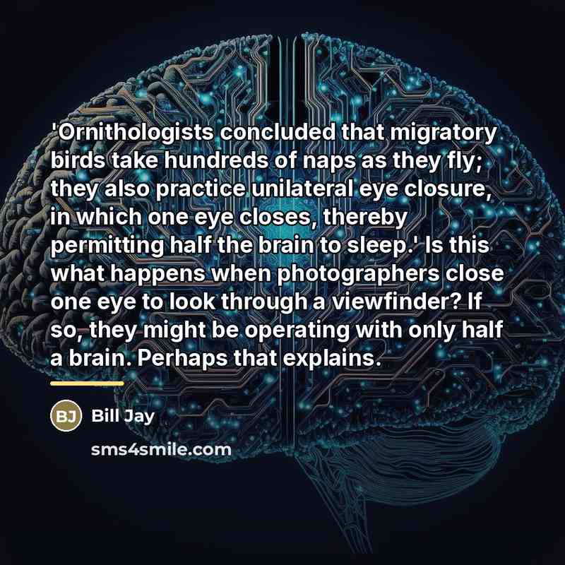 “'Ornithologists concluded that migratory birds take hundreds of naps as…” quote by Bill Jay