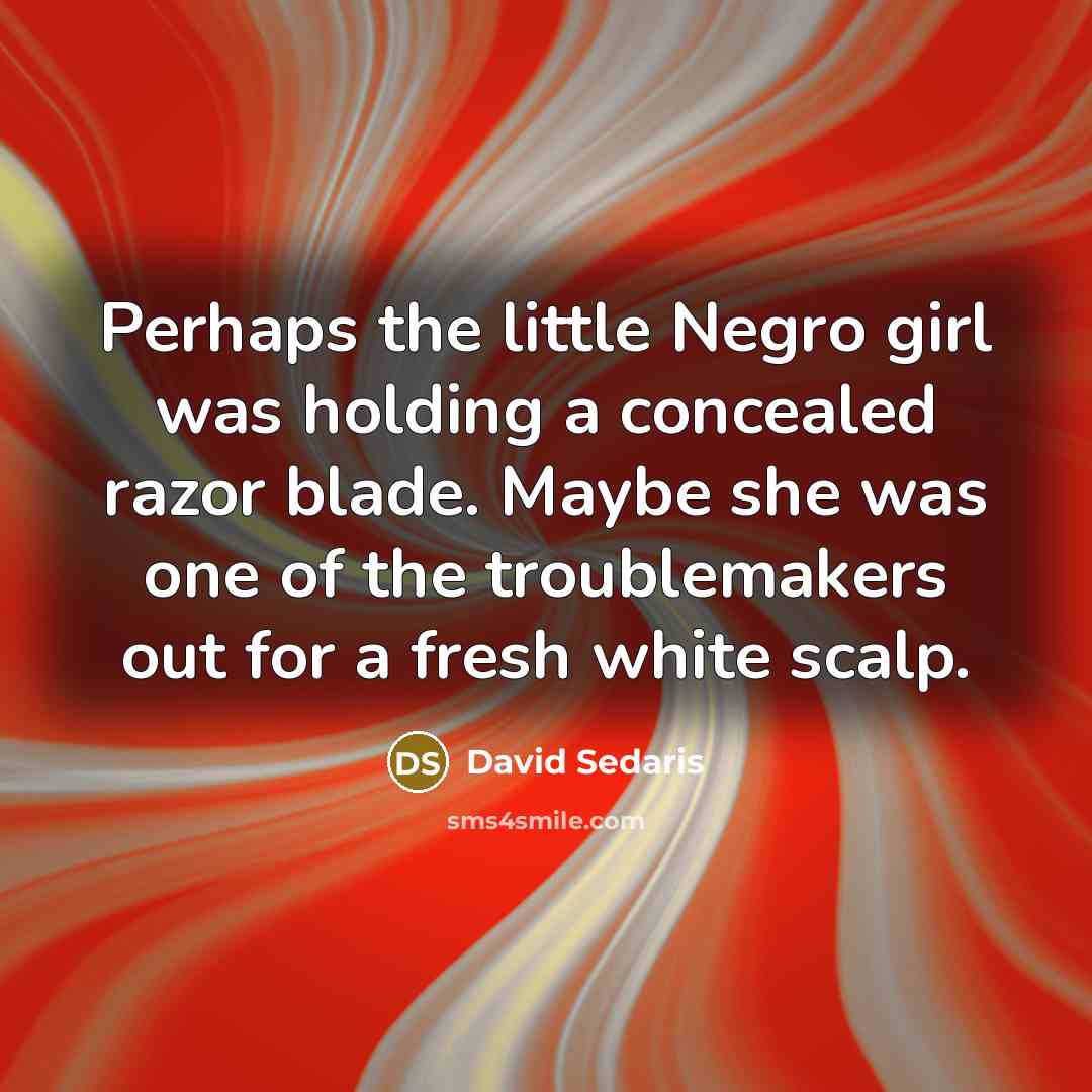 “Perhaps the little Negro girl was holding a concealed razor…” quote by David Sedaris