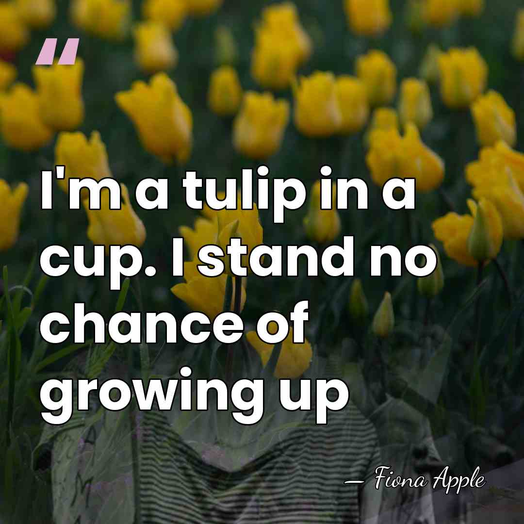 I'm a tulip in a cup. I stand no chance of growing&hellip; - Fiona Apple