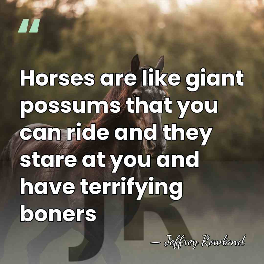 Horses are like giant possums that you can ride and they stare&hellip; - Jeffrey Rowland