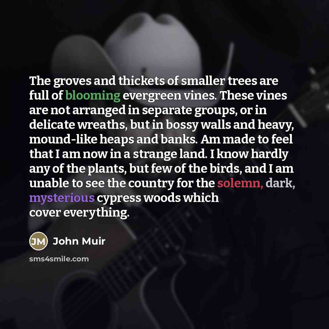 “The groves and thickets of smaller trees are full of…” quote by John Muir