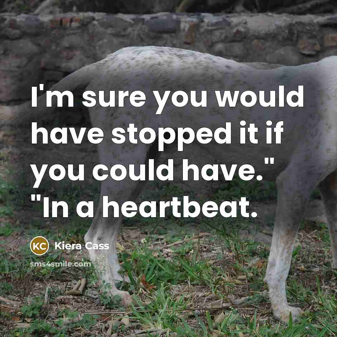“I'm sure you would have stopped it if you could…” quote by Kiera Cass