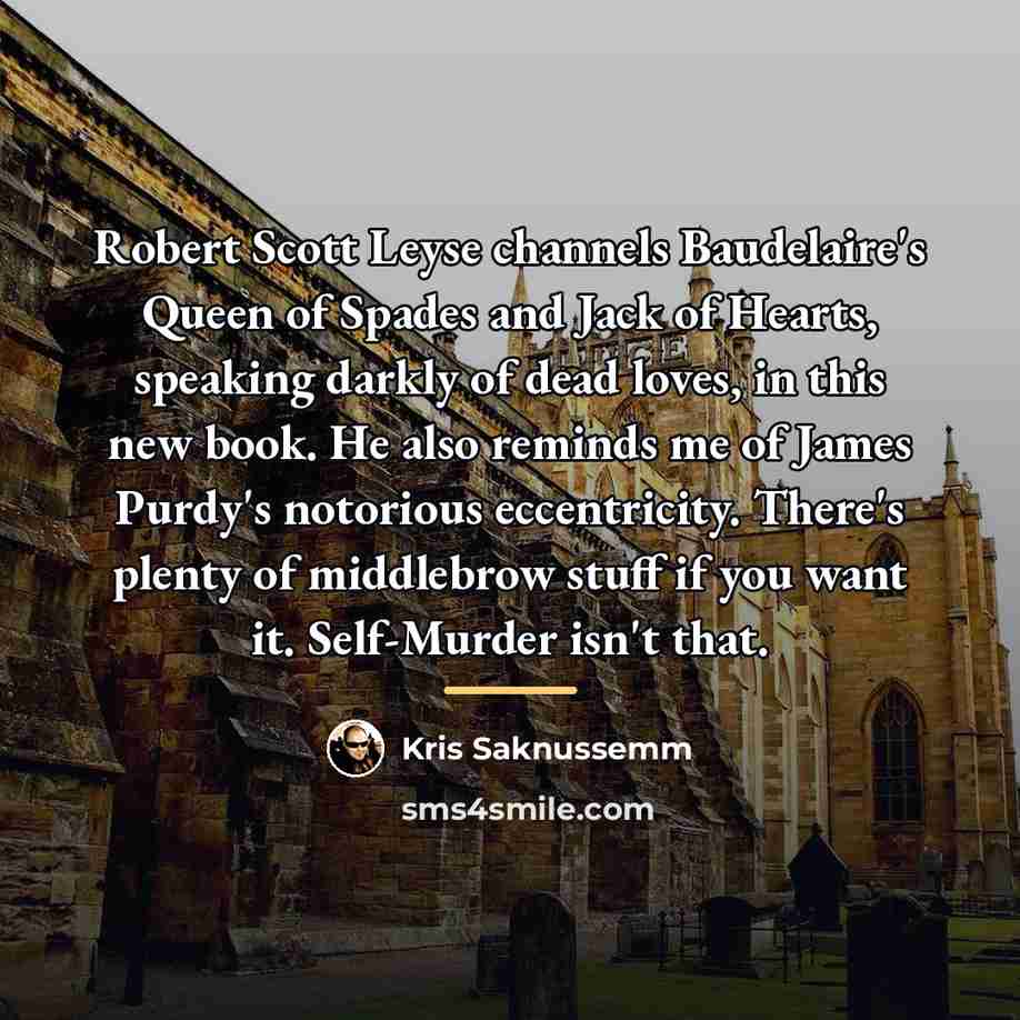 “Robert Scott Leyse channels Baudelaire's Queen of Spades and Jack…” quote by Kris Saknussemm