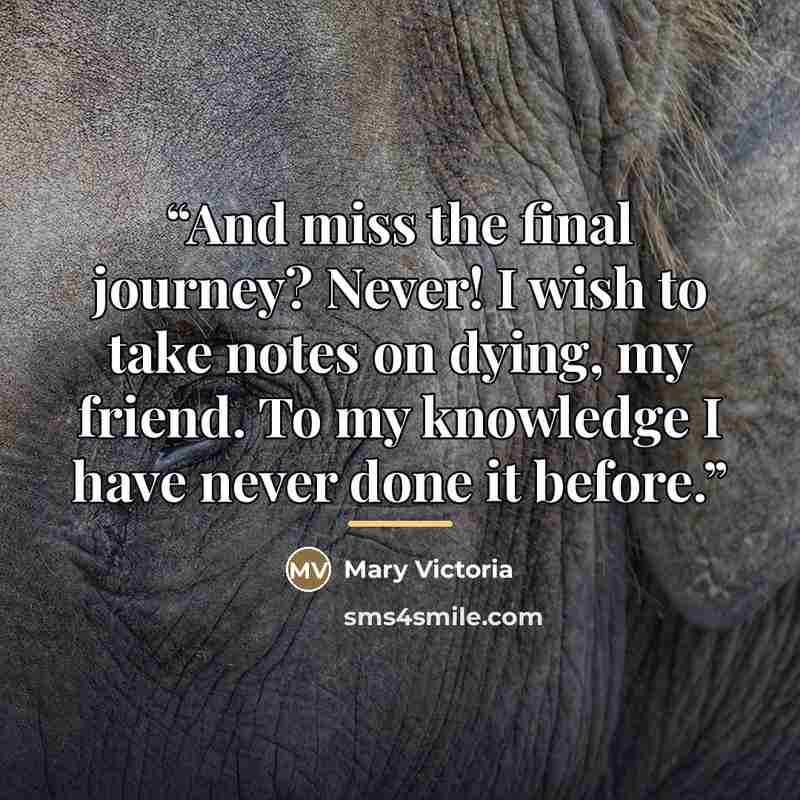 “And miss the final journey? Never! I wish to take notes on dying, my friend. To my knowledge I have never done it before.” quote by Mary Victoria