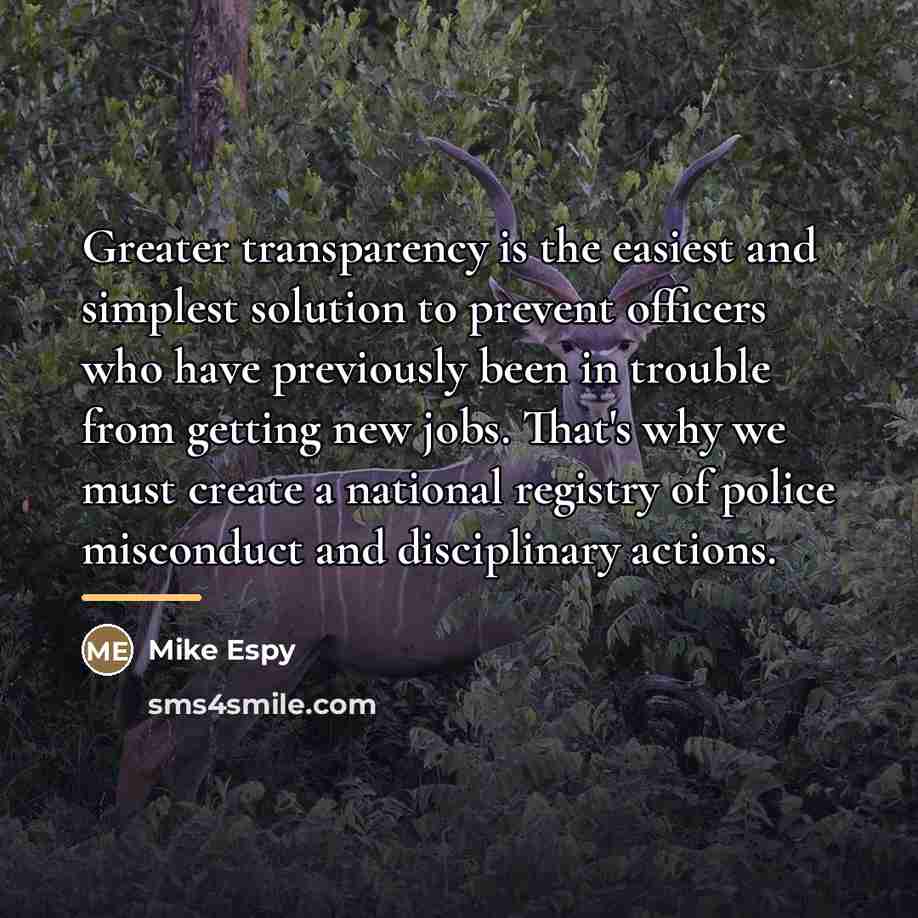 “Greater transparency is the easiest and simplest solution to prevent…” quote by Mike Espy