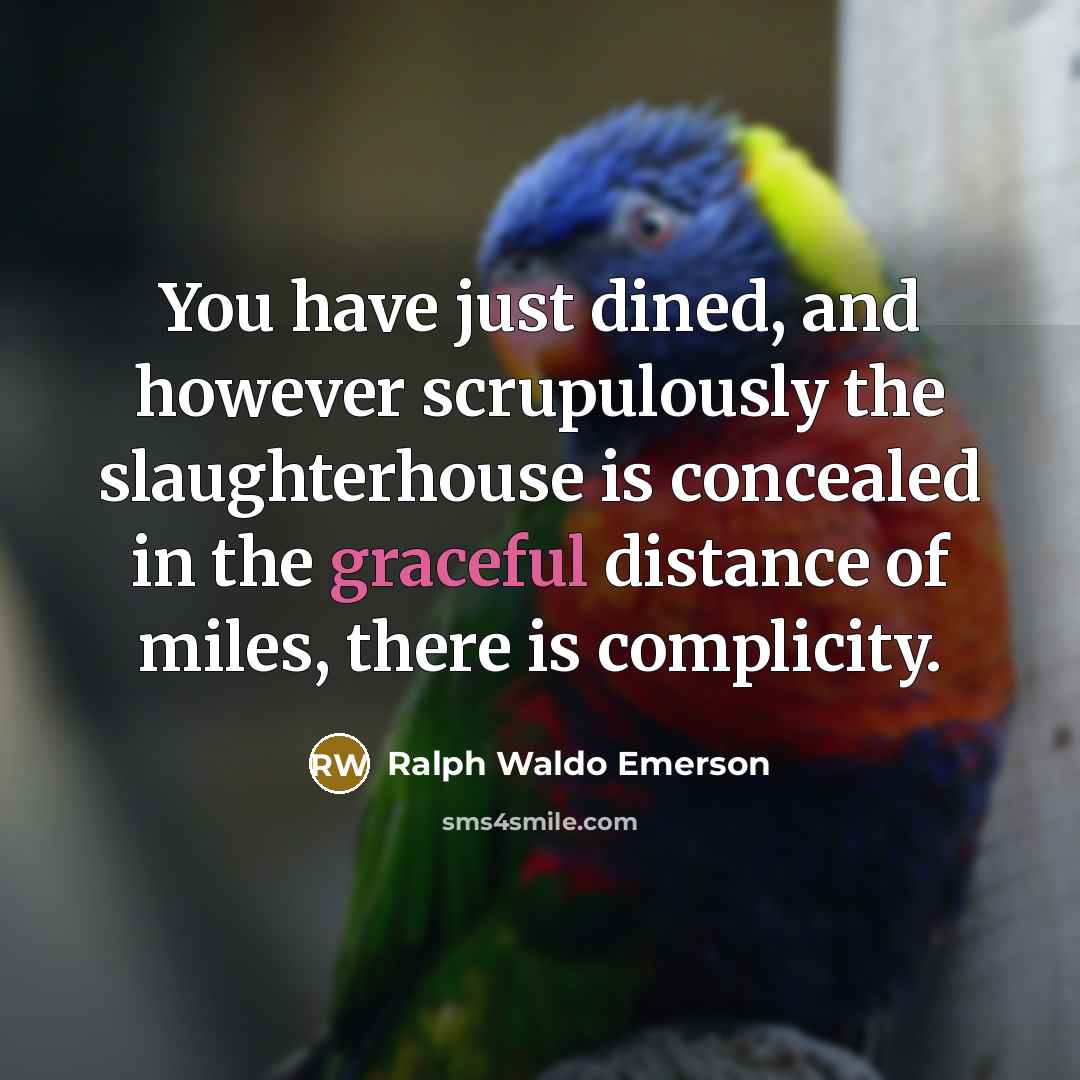 “You have just dined, and however scrupulously the slaughterhouse is…” quote by Ralph Waldo Emerson