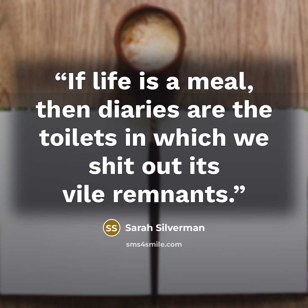 “If life is a meal, then diaries are the toilets in which we shit out its vile remnants.” quote by Sarah Silverman