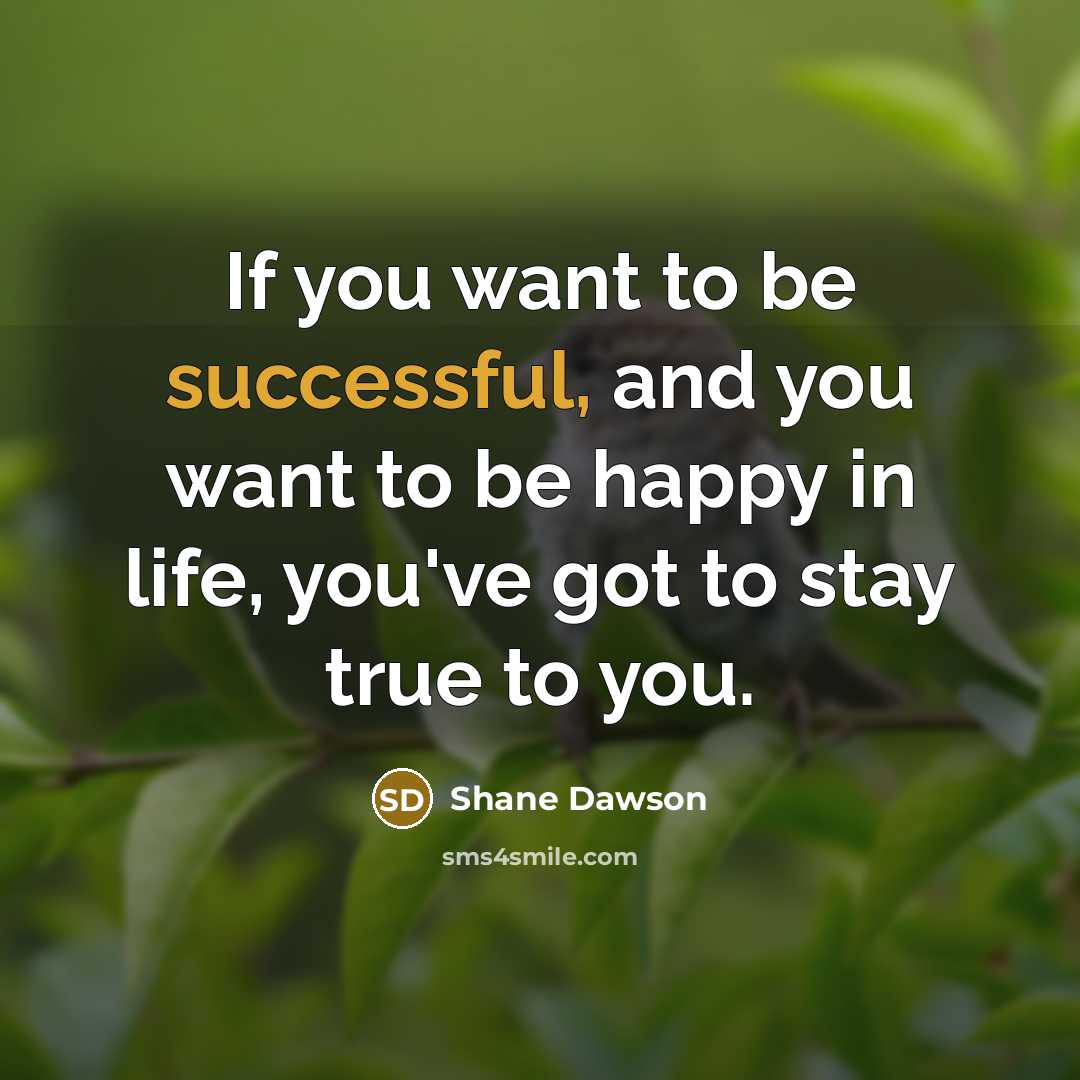 “If you want to be successful, and you want to…” quote by Shane Dawson