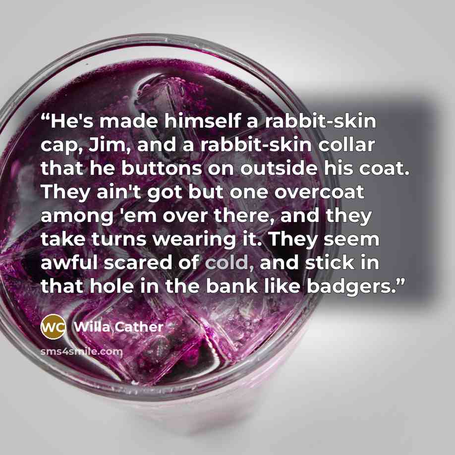 “He's made himself a rabbit-skin cap, Jim, and a rabbit-skin collar that he buttons on outside his coat. They ain't got but one overcoat among 'em over there, and they take turns wearing it. They seem awful scared of cold, and stick in that hole in the bank like badgers.” quote by Willa Cather