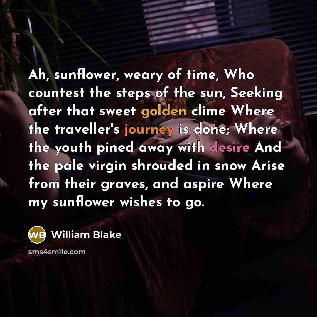“Ah, sunflower, weary of time, Who countest the steps of…” quote by William Blake