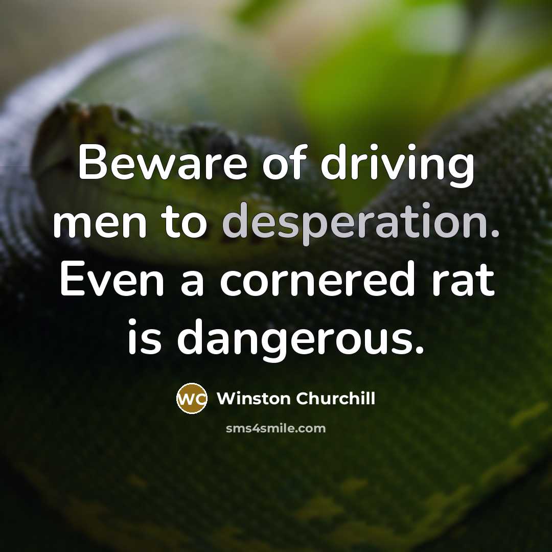 “Beware of driving men to desperation. Even a cornered rat…” quote by Winston Churchill