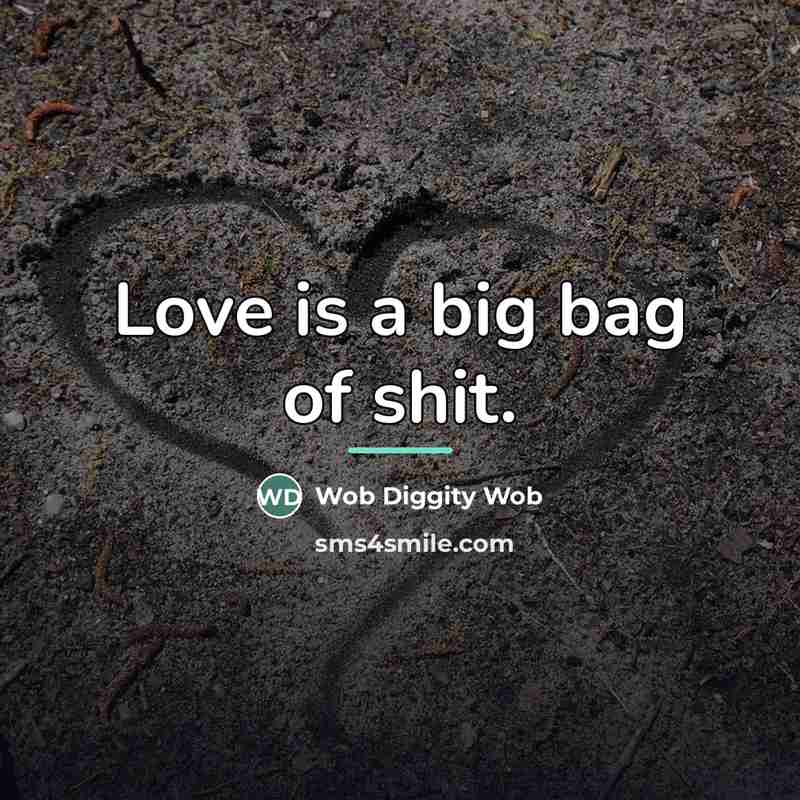 “Love is a big bag of shit.…” quote by Wob Diggity Wob