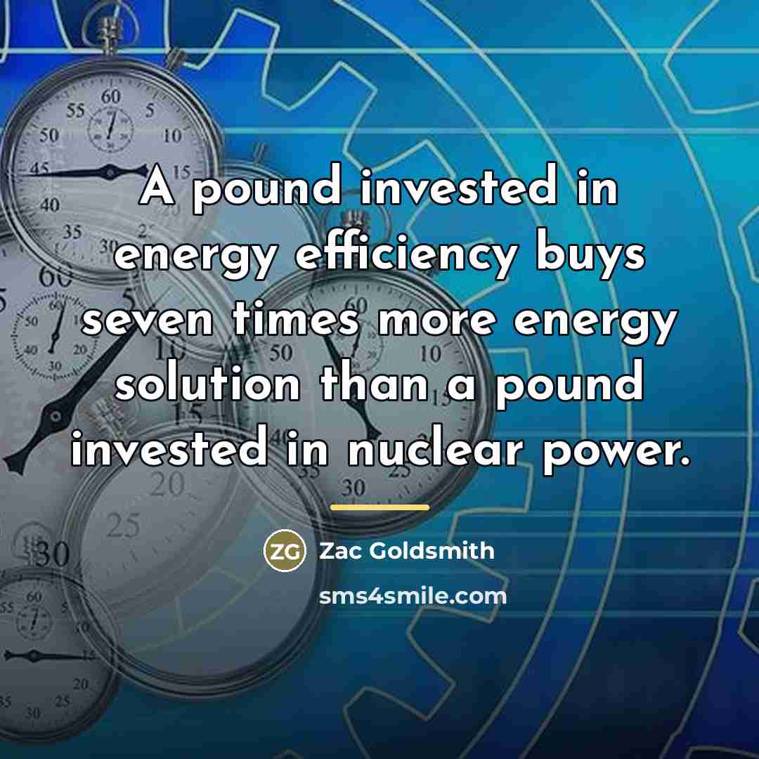 “A pound invested in energy efficiency buys seven times more…” quote by Zac Goldsmith