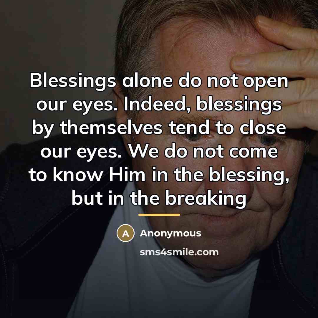 “Blessings alone do not open our eyes. Indeed, blessings by…” quote by Chip Brogden