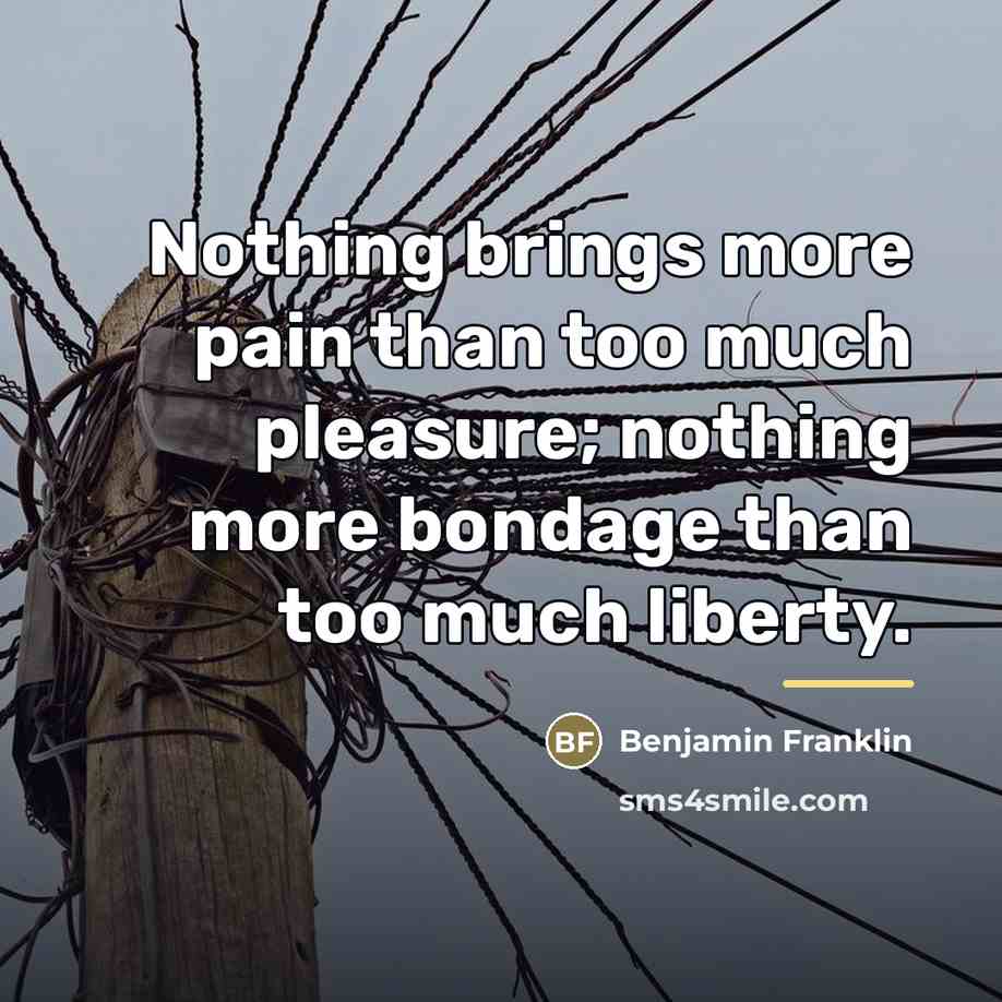 “Nothing brings more pain than too much pleasure; nothing more…” quote by Benjamin Franklin
