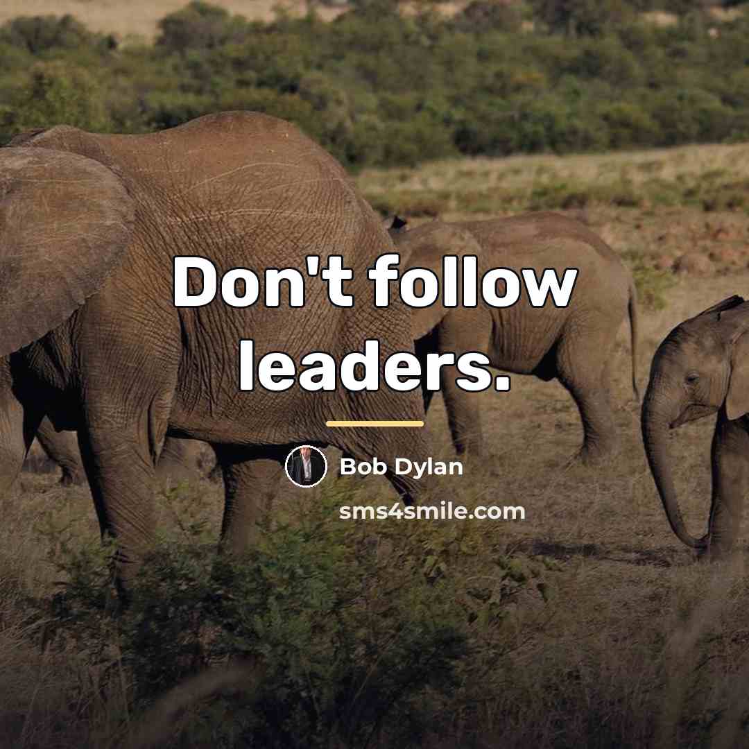 “Don't follow leaders.…” quote by Bob Dylan