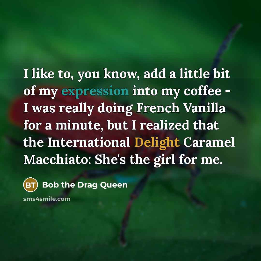 “I like to, you know, add a little bit of…” quote by Bob the Drag Queen