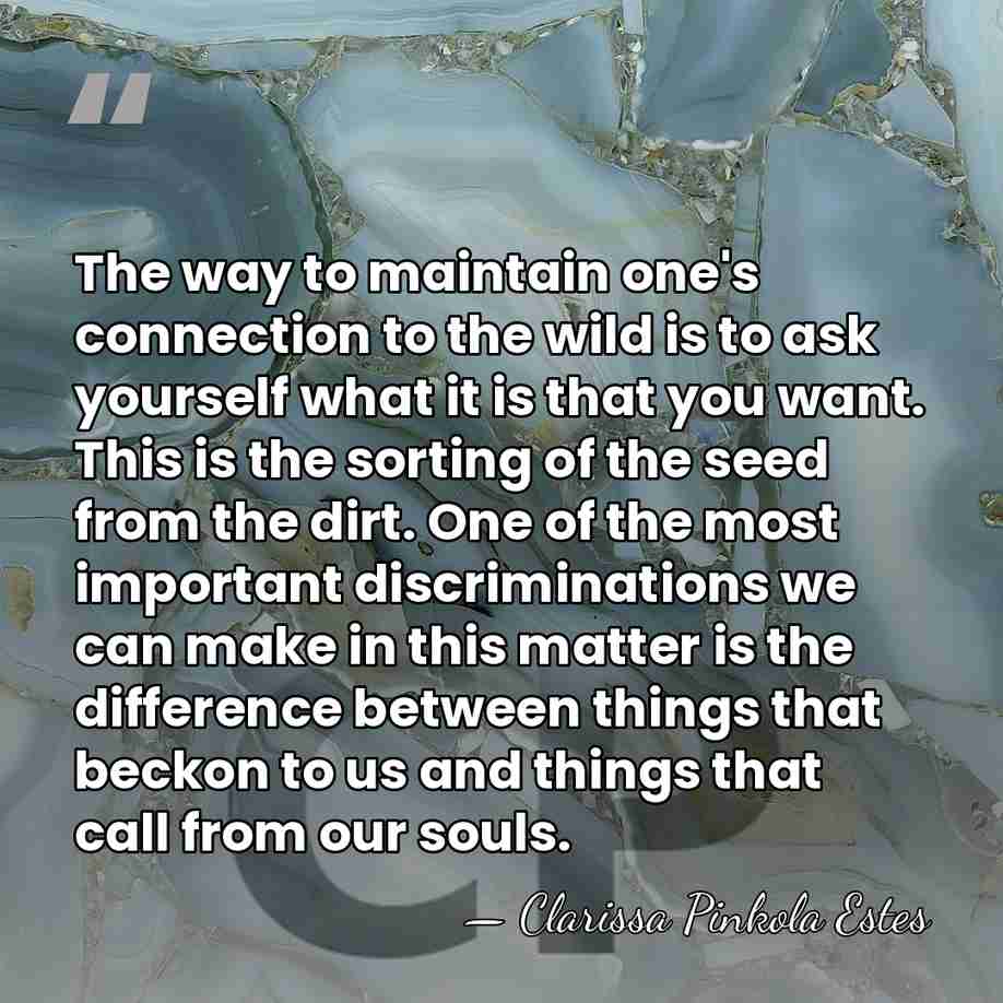 The way to maintain one's connection to the wild is to ask&hellip; - Clarissa Pinkola Estes