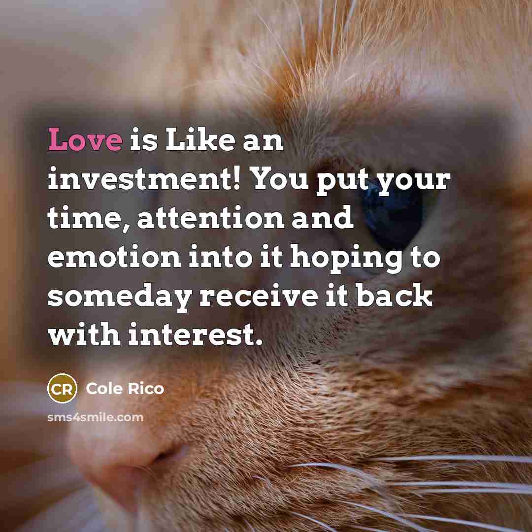 “Love is Like an investment! You put your time, attention…” quote by Cole Rico