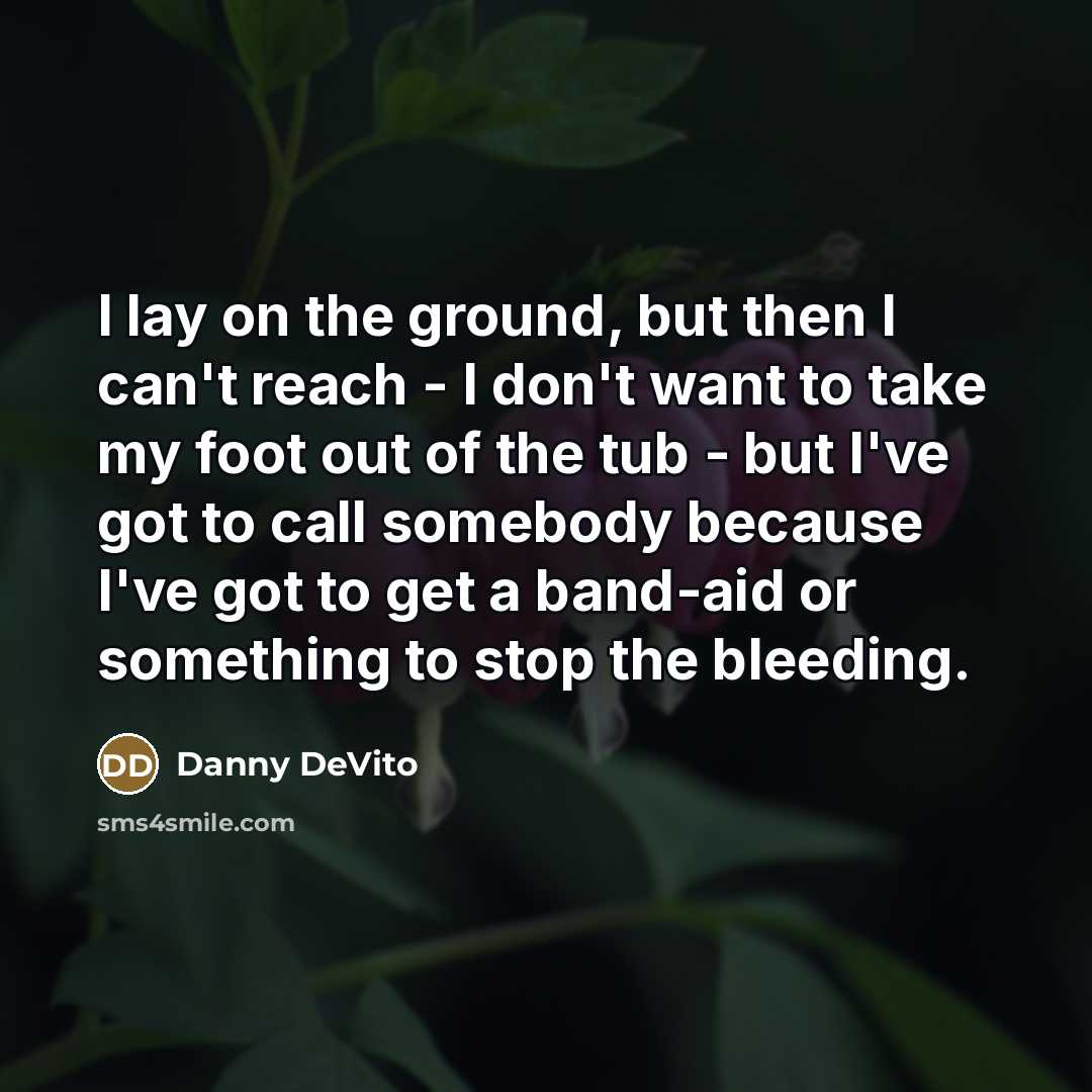 “I lay on the ground, but then I can't reach…” quote by Danny DeVito