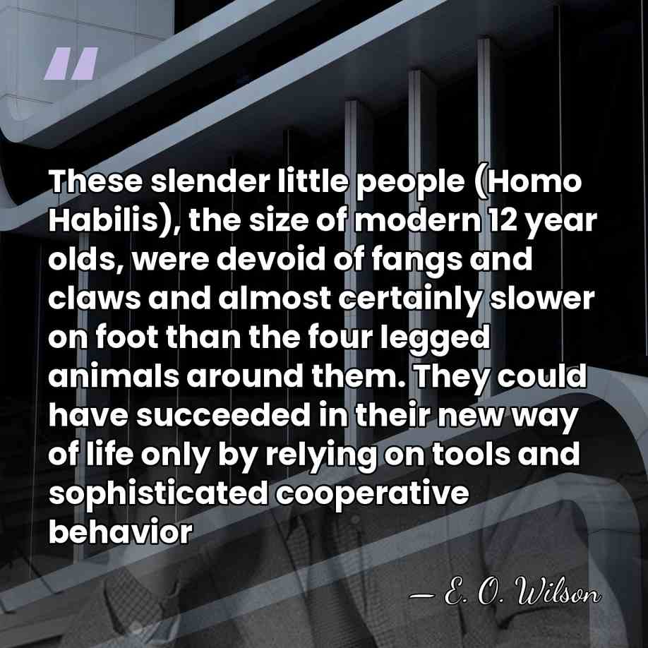 These slender little people (Homo Habilis), the size of modern 12 year&hellip; - E. O. Wilson