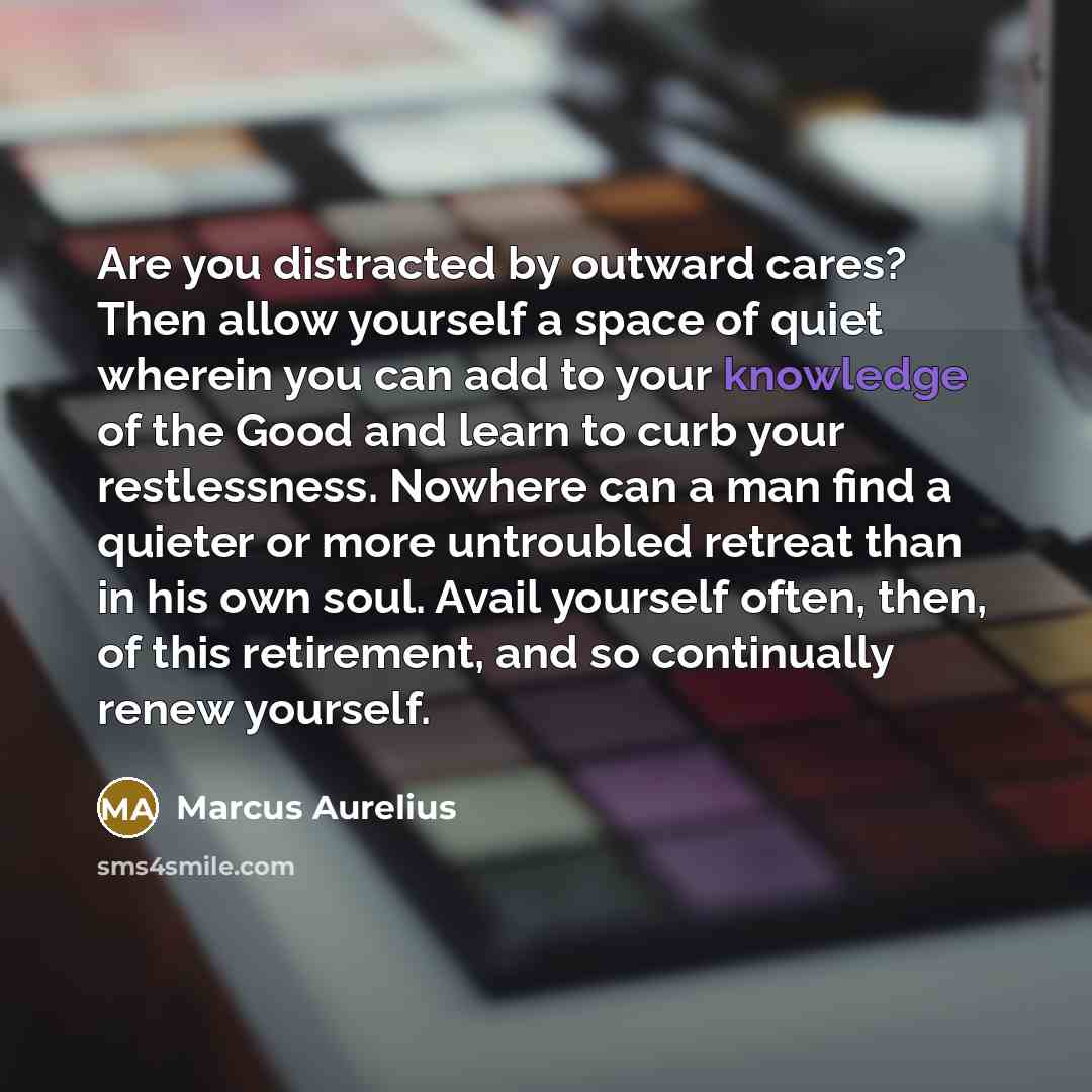 “Are you distracted by outward cares? Then allow yourself a…” quote by Marcus Aurelius