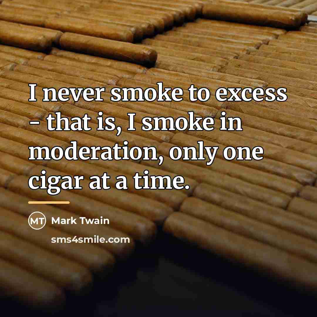“I never smoke to excess - that is, I smoke…” quote by Mark Twain