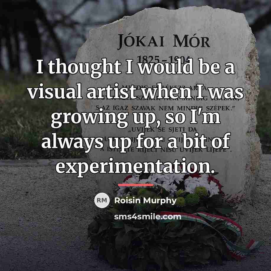 “I thought I would be a visual artist when I…” quote by Roisin Murphy