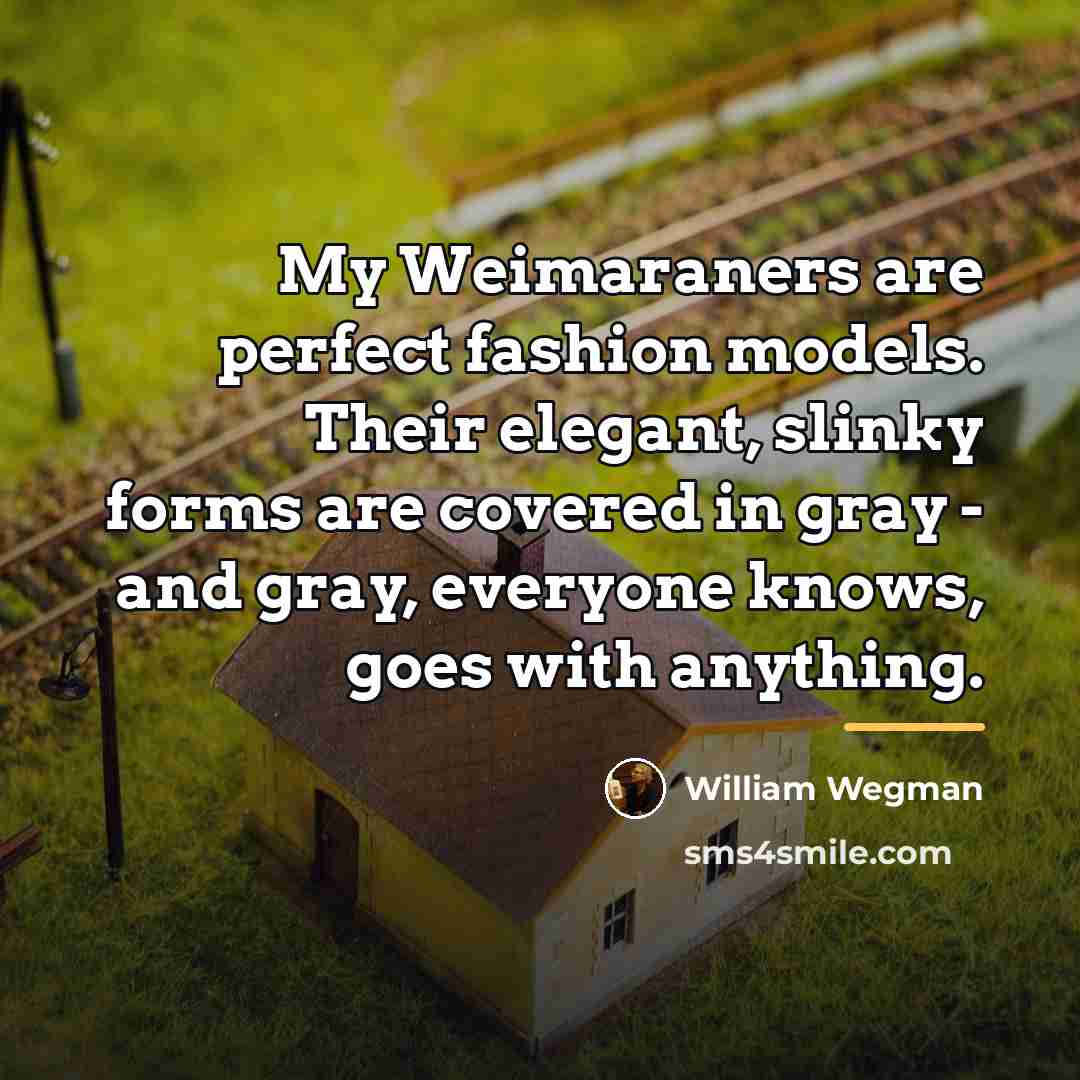 “My Weimaraners are perfect fashion models. Their elegant, slinky forms…” quote by William Wegman