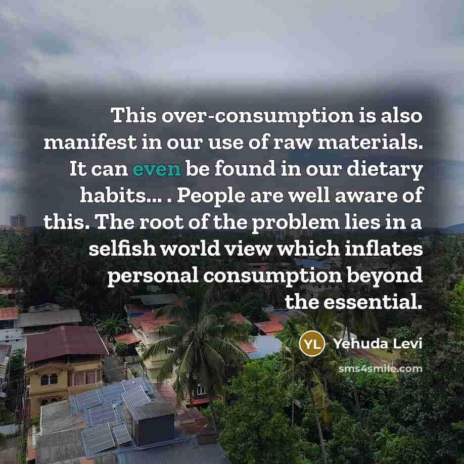 “This over-consumption is also manifest in our use of raw…” quote by Yehuda Levi