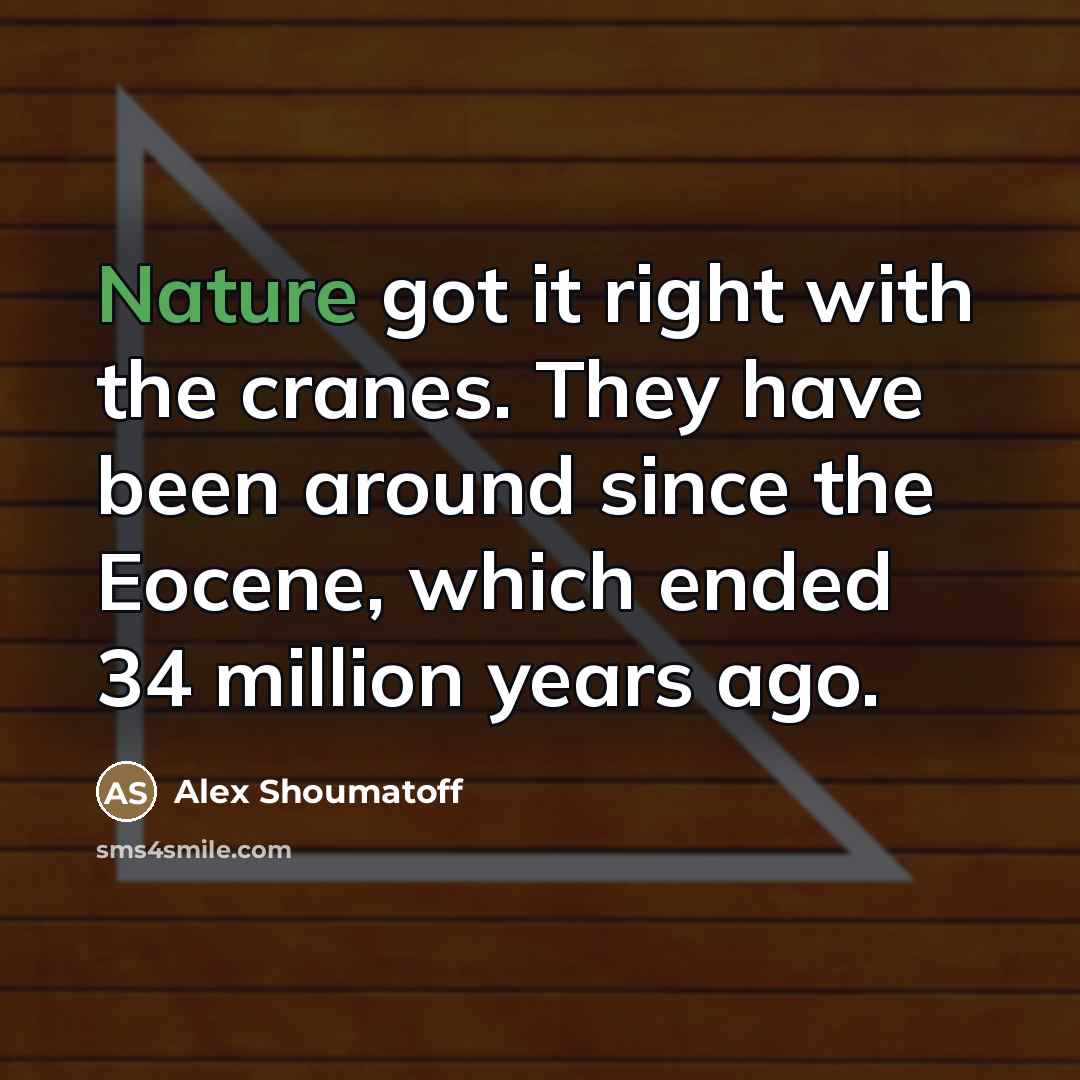 “Nature got it right with the cranes. They have been…” quote by Alex Shoumatoff