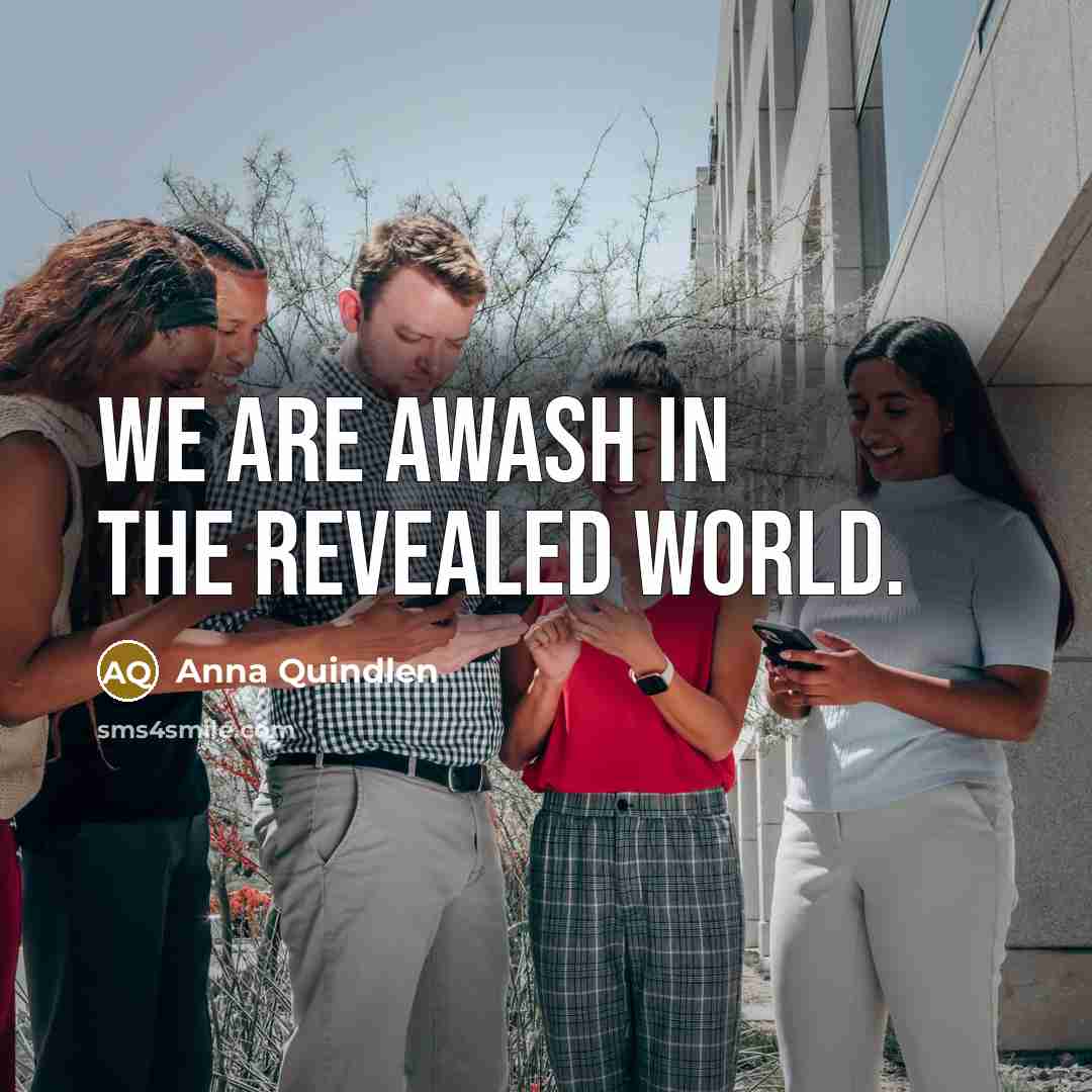 “We are awash in the revealed world.…” quote by Anna Quindlen