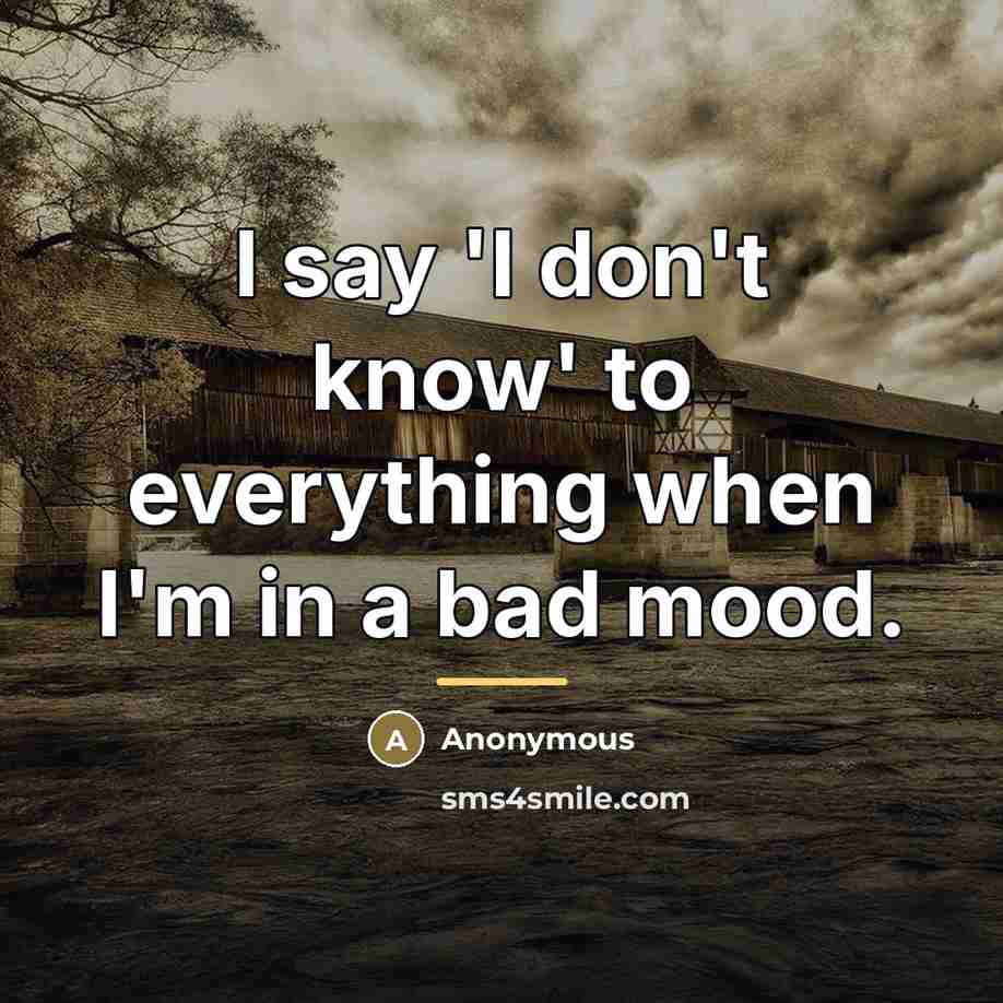 “I say 'I don't know' to everything when I'm in…” quote by Anonymous