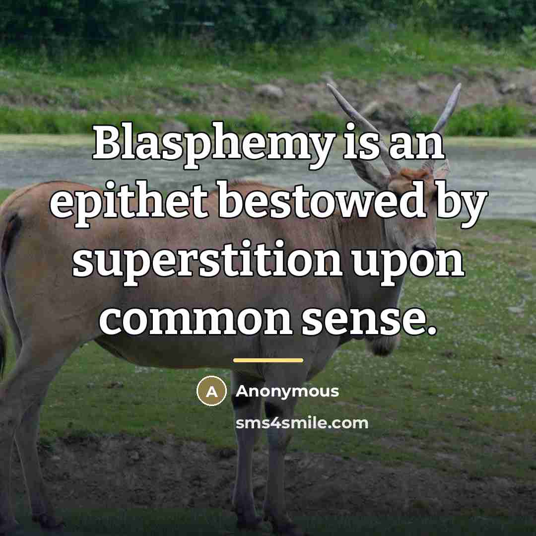 “Blasphemy is an epithet bestowed by superstition upon common sense.…” quote by Anonymous