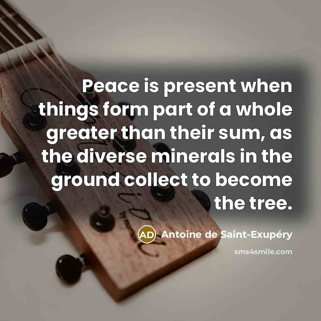 “Peace is present when things form part of a whole…” quote by Antoine de Saint-Exupery