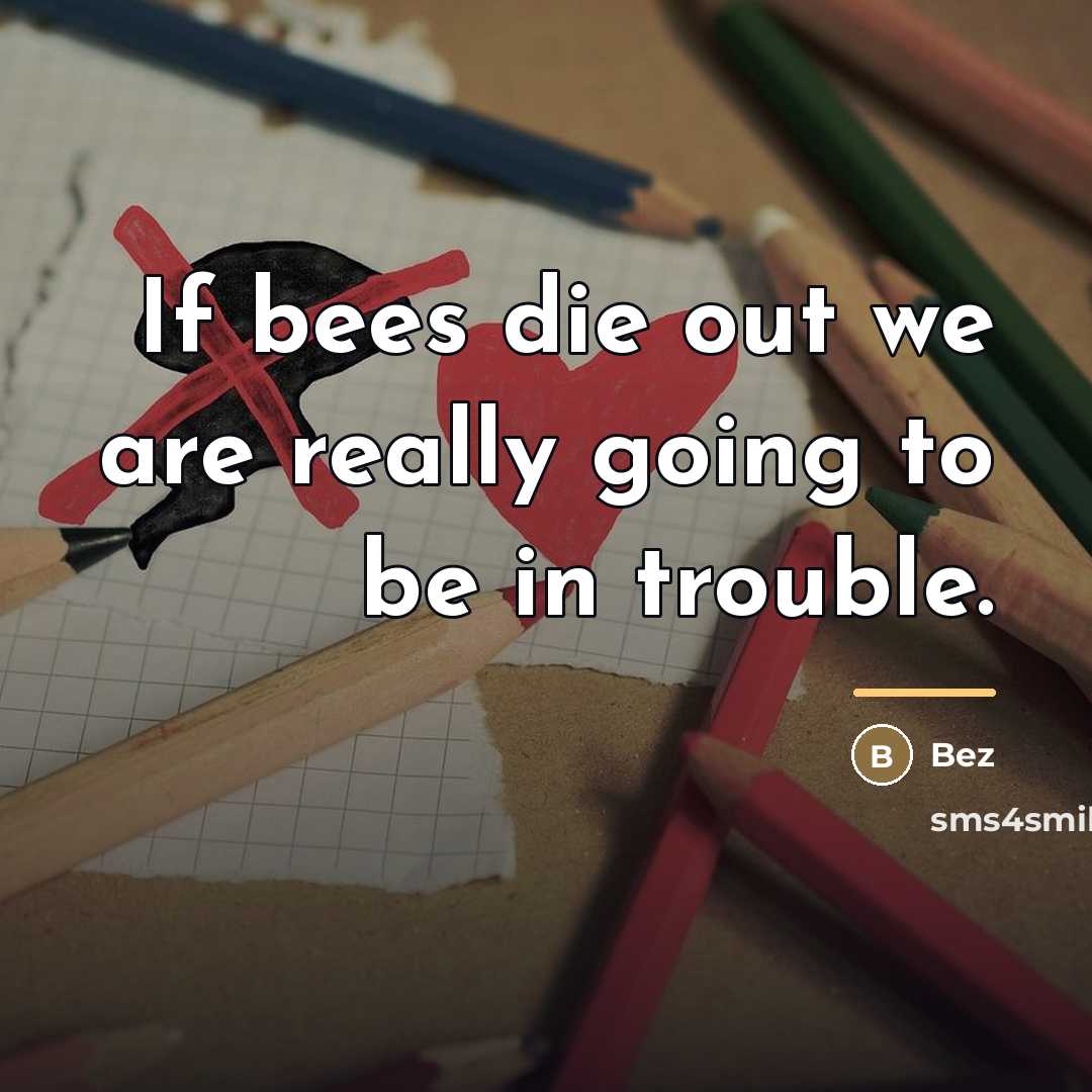 “If bees die out we are really going to be…” quote by Bez