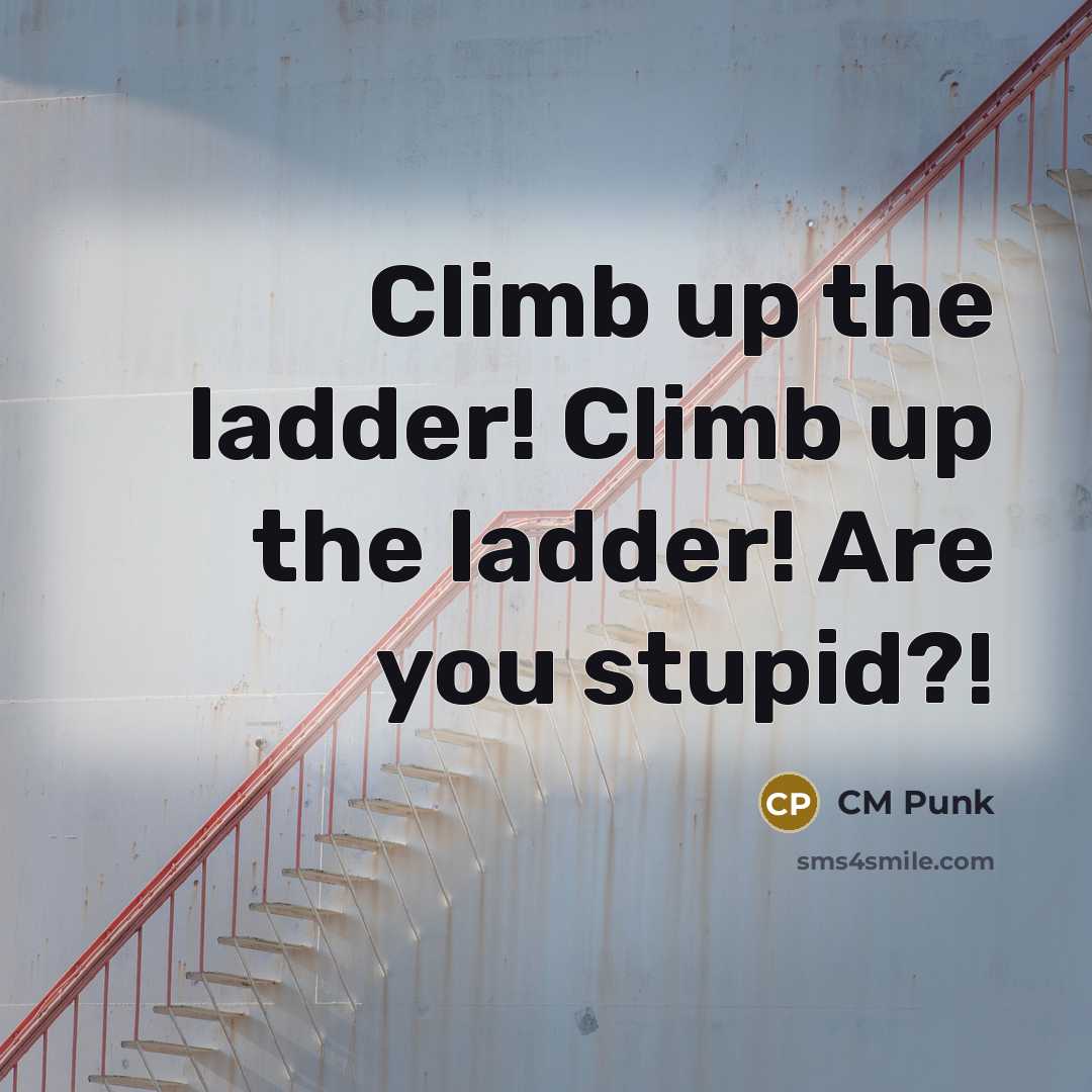 “Climb up the ladder! Climb up the ladder! Are you…” quote by CM Punk