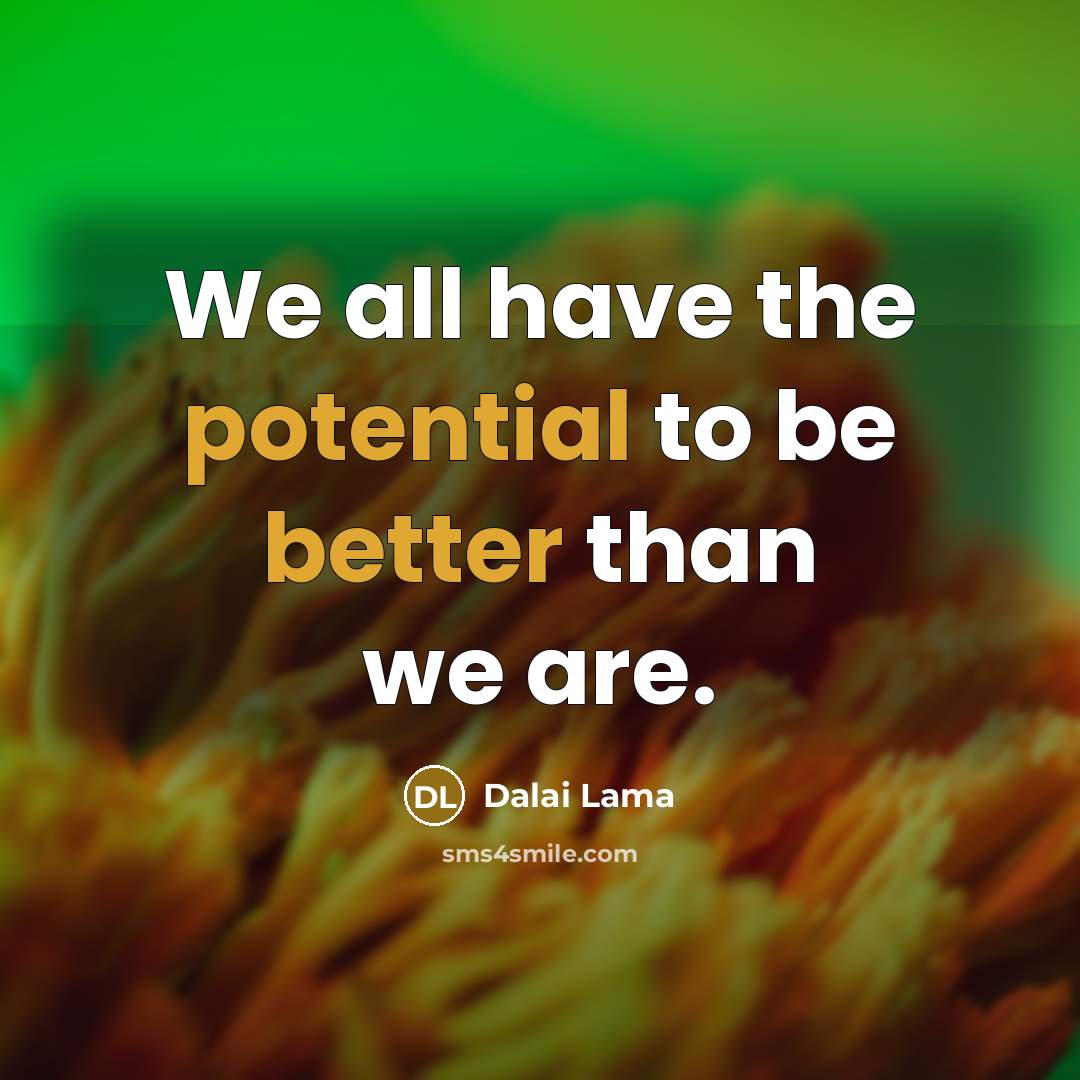 “We all have the potential to be better than we are.” quote by Dalai Lama