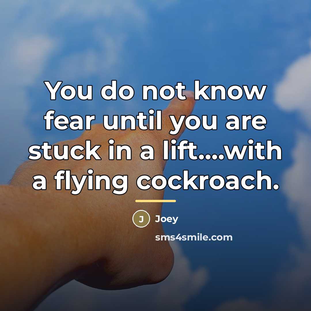 “You do not know fear until you are stuck in…” quote by Joey