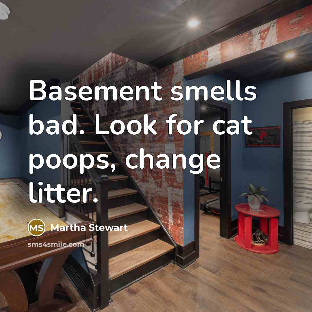 “Basement smells bad. Look for cat poops, change litter.” quote by Martha Stewart