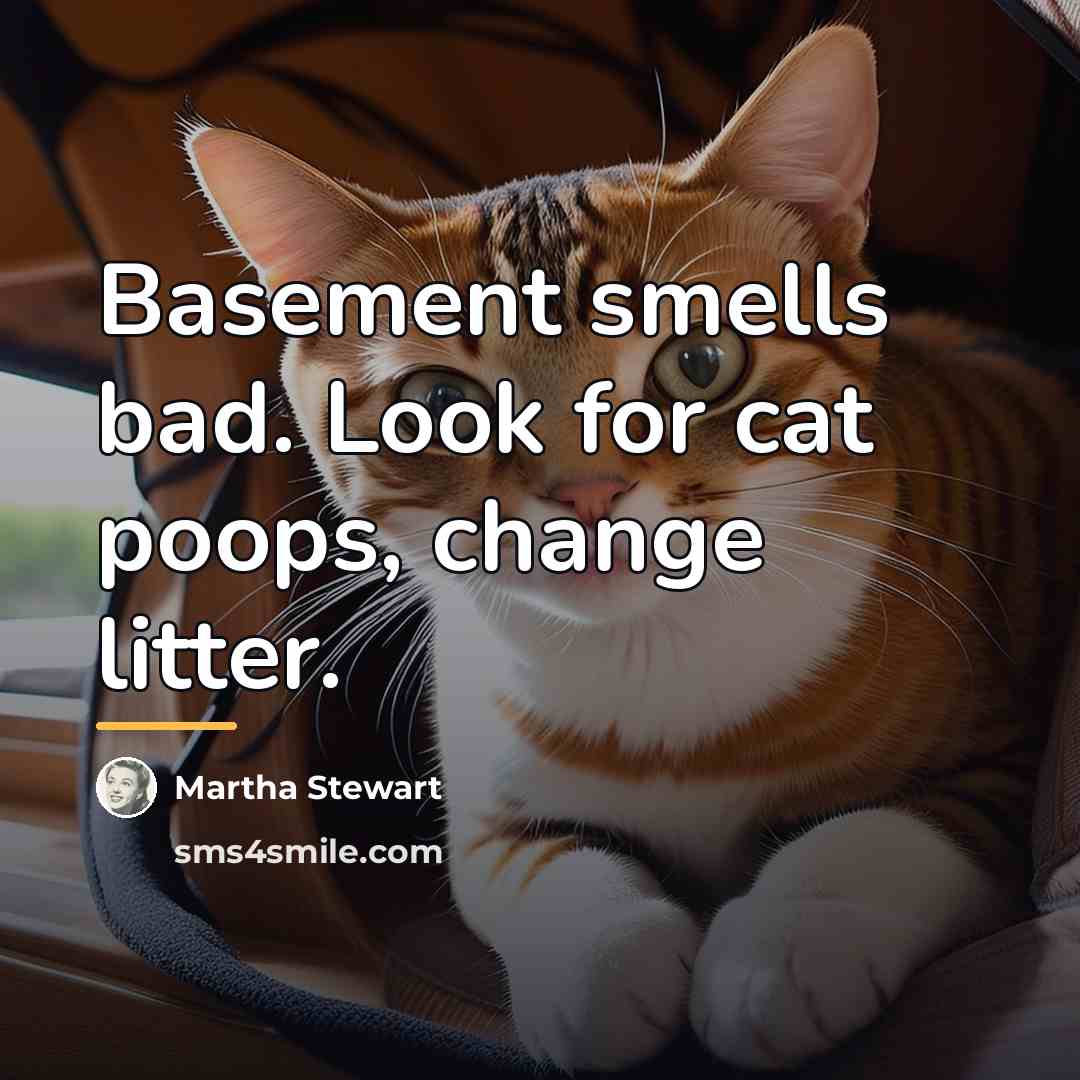 “Basement smells bad. Look for cat poops, change litter.…” quote by Martha Stewart