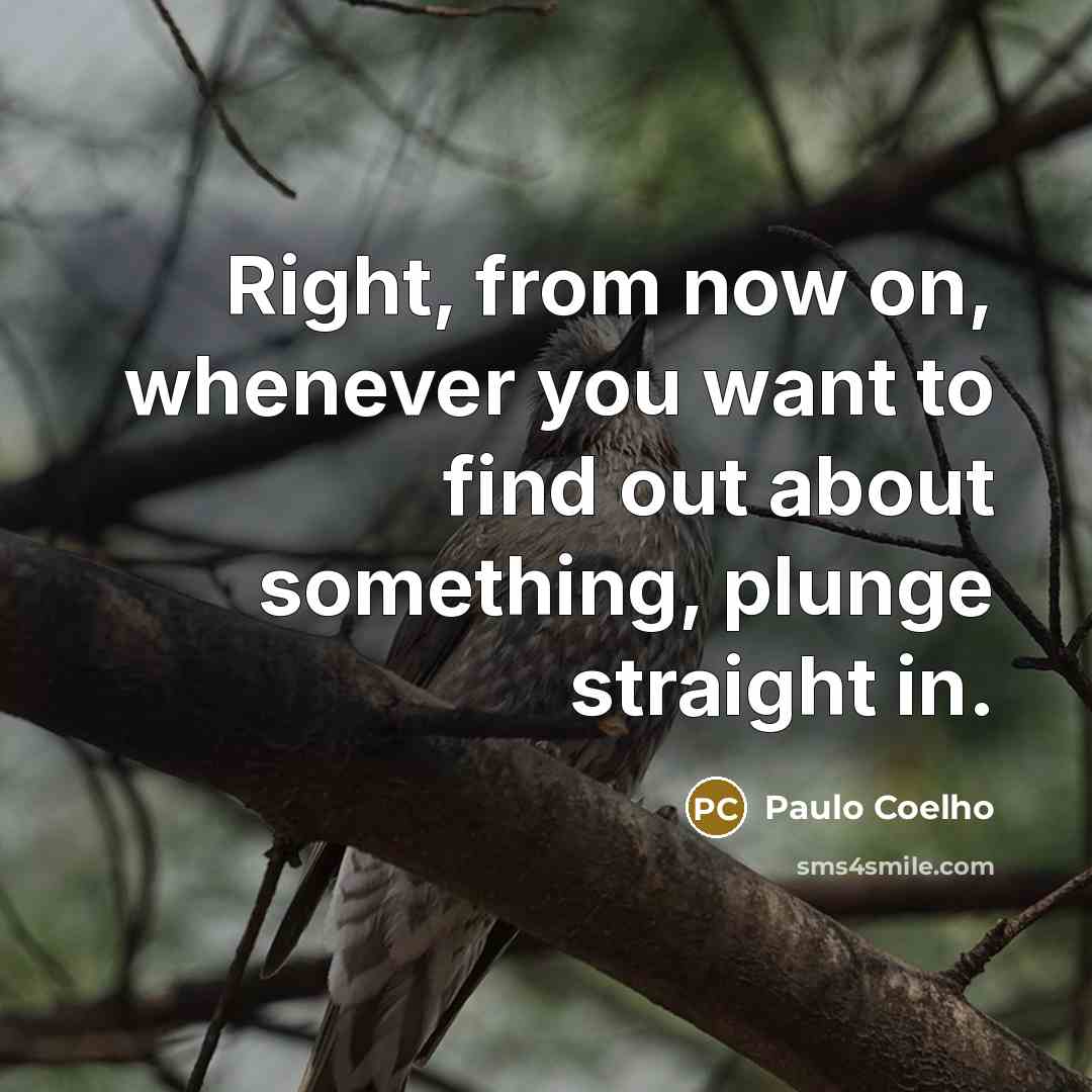 “Right, from now on, whenever you want to find out…” quote by Paulo Coelho