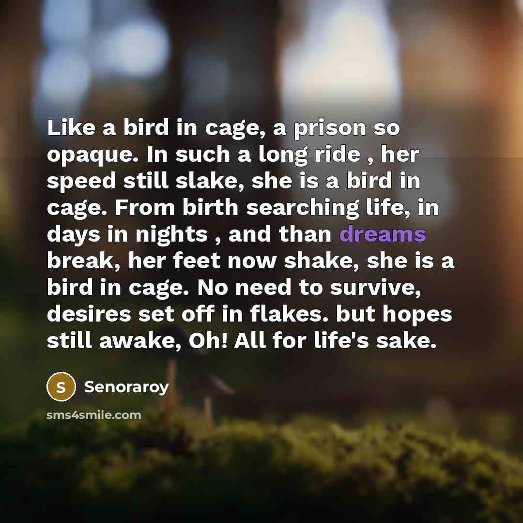 “Like a bird in cage, a prison so opaque. In…” quote by Senoraroy