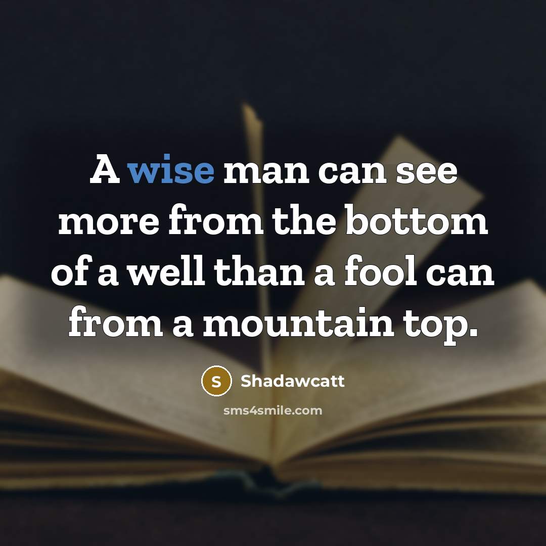 “A wise man can see more from the bottom of…” quote by Shadawcatt