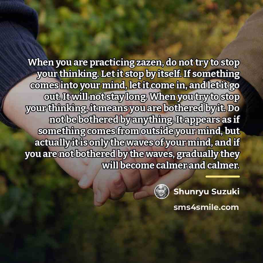 “When you are practicing zazen, do not try to stop…” quote by Shunryu Suzuki