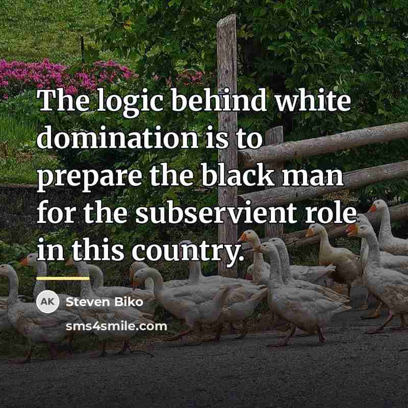 “The logic behind white domination is to prepare the black…” quote by Steven Biko