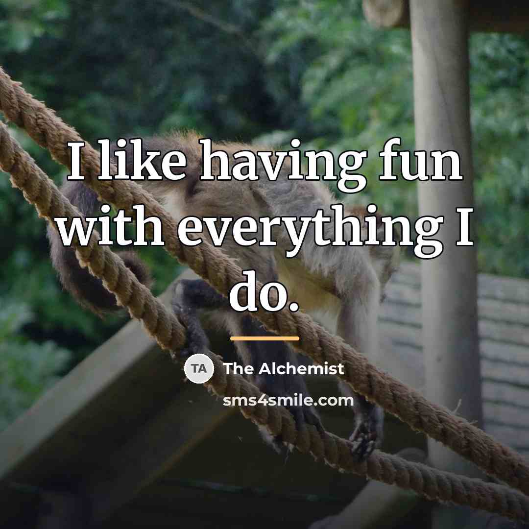 “I like having fun with everything I do.…” quote by The Alchemist